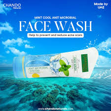 CHANDO Naturals Foaming Face Wash Mint Cool – Anti-Microbial Daily Cleanser for Oily & Acne-Prone Skin (100ml).