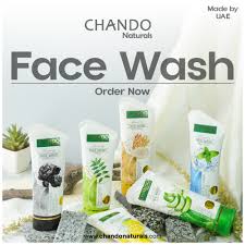 CHANDO Naturals Foaming Face Wash Mint Cool – Anti-Microbial Daily Cleanser for Oily & Acne-Prone Skin (100ml).